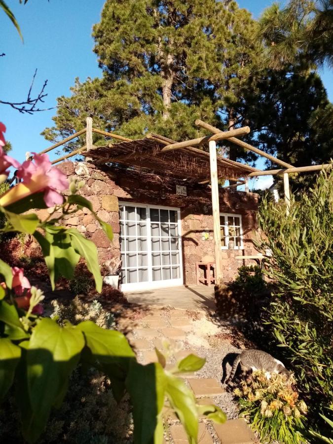 Casa Los Pinos - Sunset & Wifi Puntagorda 外观 照片