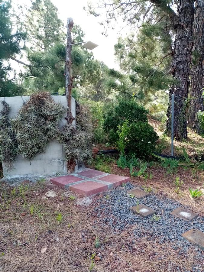 Casa Los Pinos - Sunset & Wifi Puntagorda 外观 照片